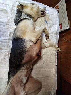 .